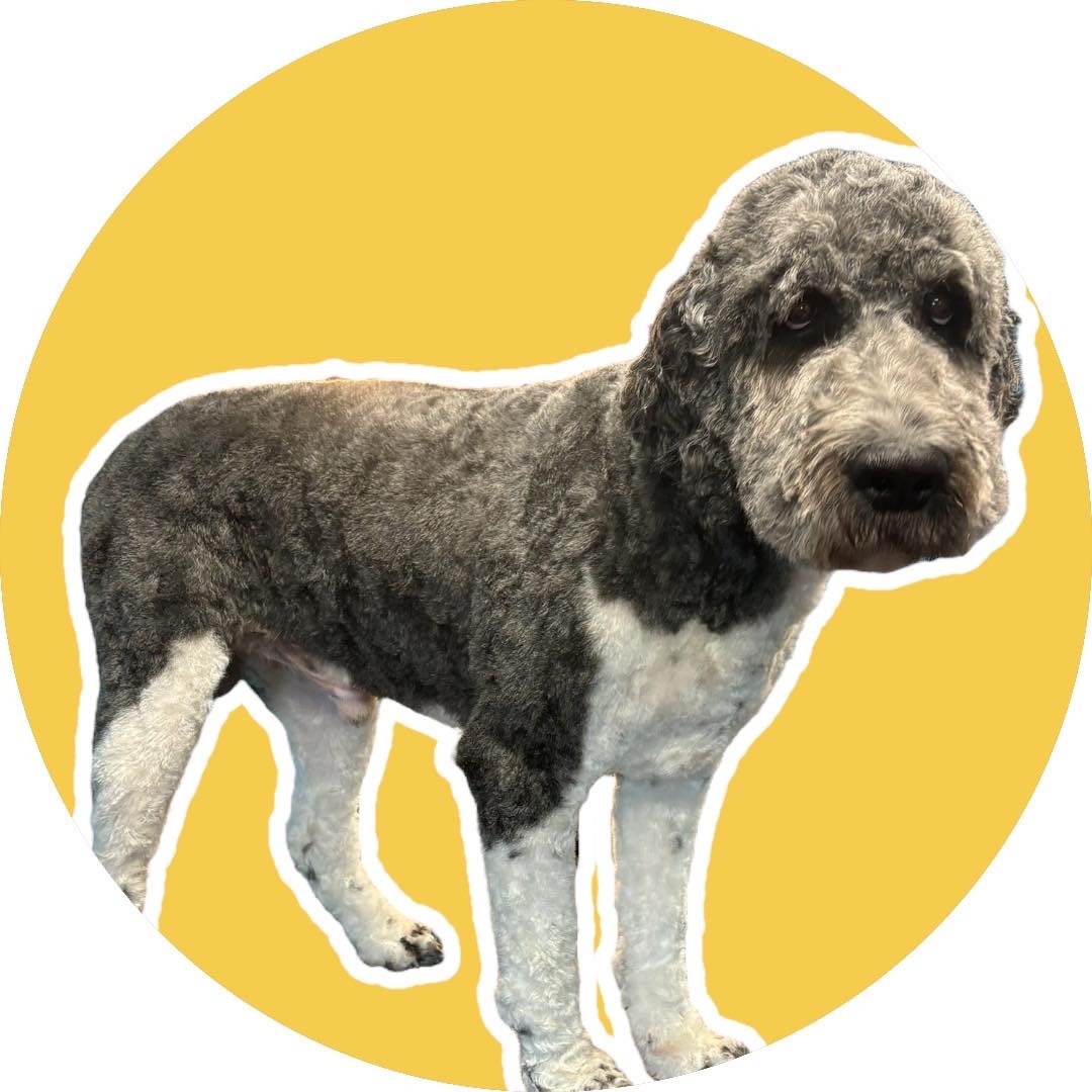 Placeholder image