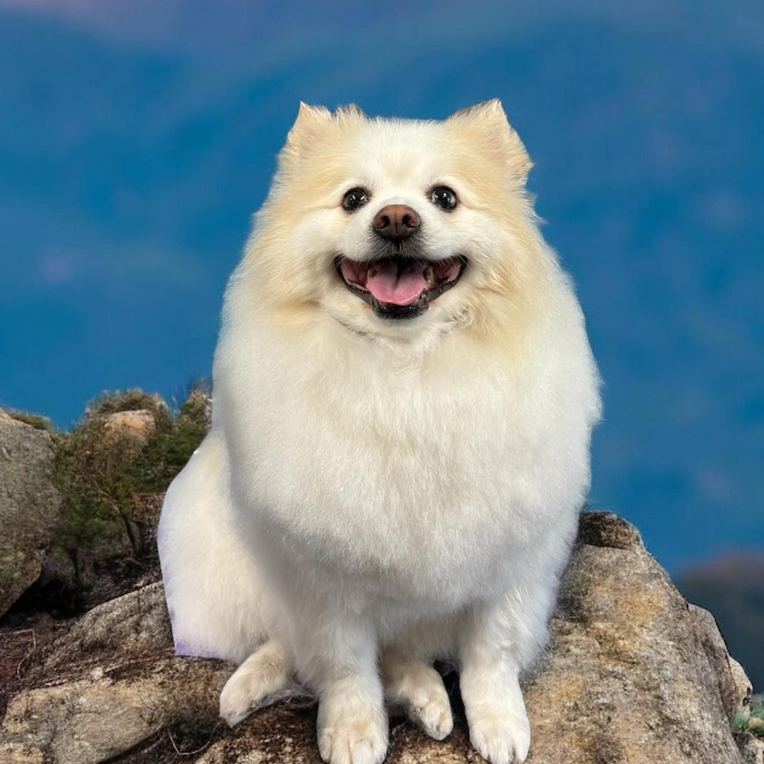 Placeholder image